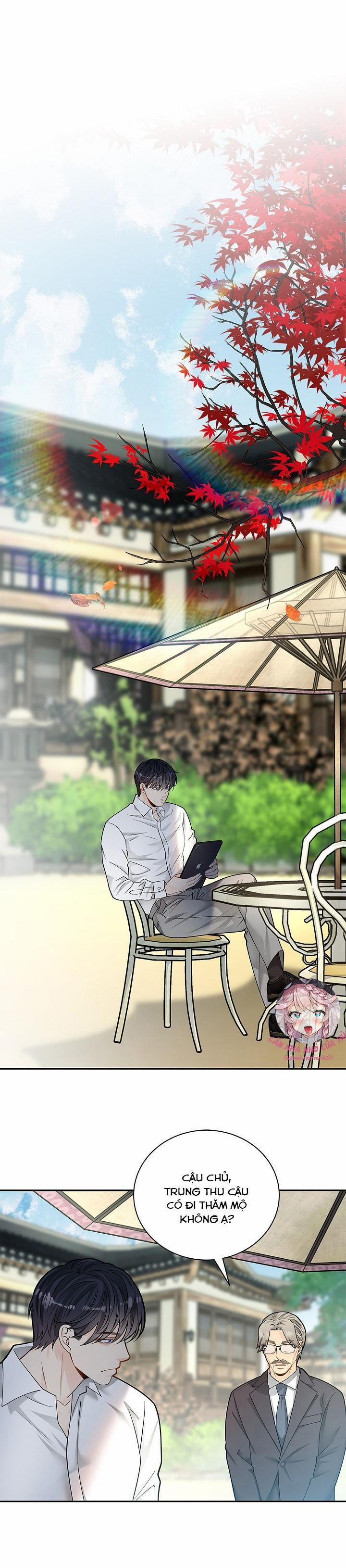 Hôn Nhân Bị Đánh Cắp Của Hồ Ly 9 trang 21