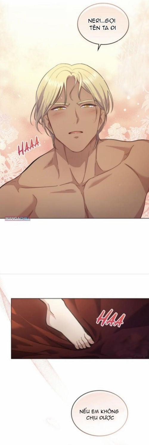 Hôn Nhân Giả Dối 17 trang 14