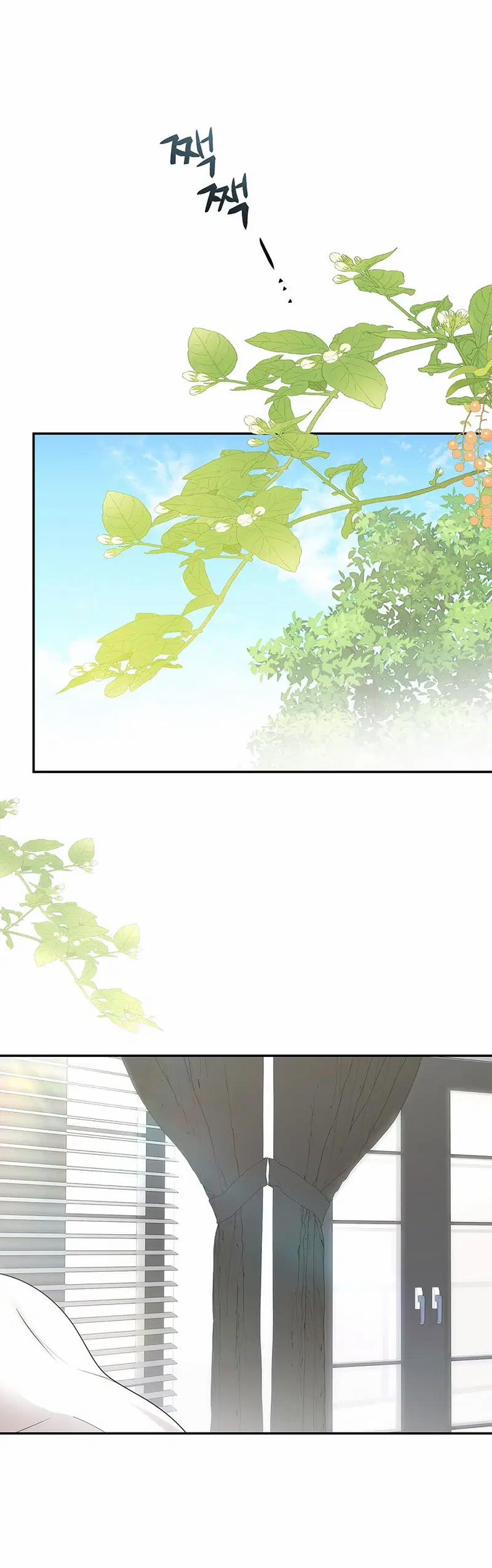 Hôn Nhân Không Lối Thoát 23.2 trang 1