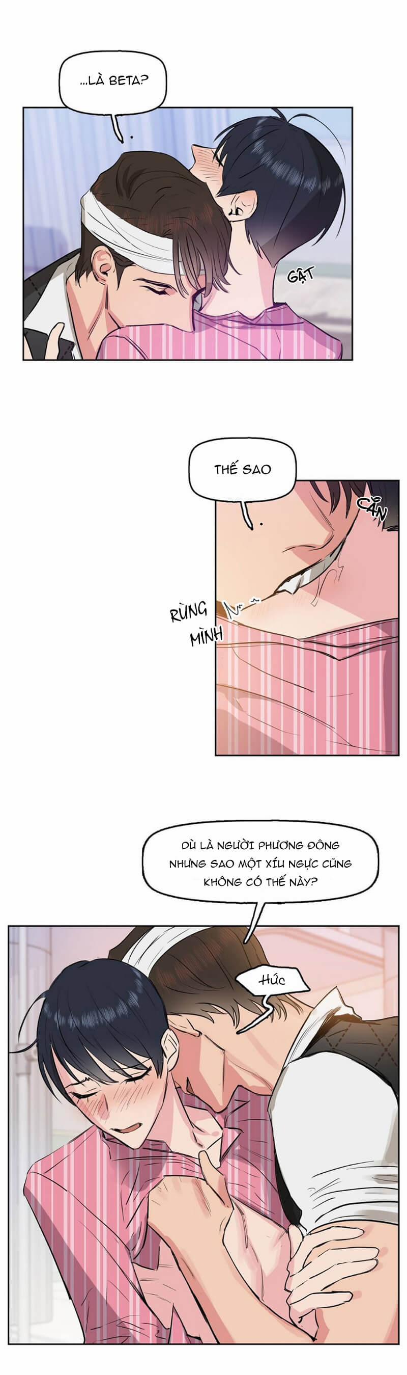 Hôn Tôi Đi, Đồ Dối Trá 2 trang 20