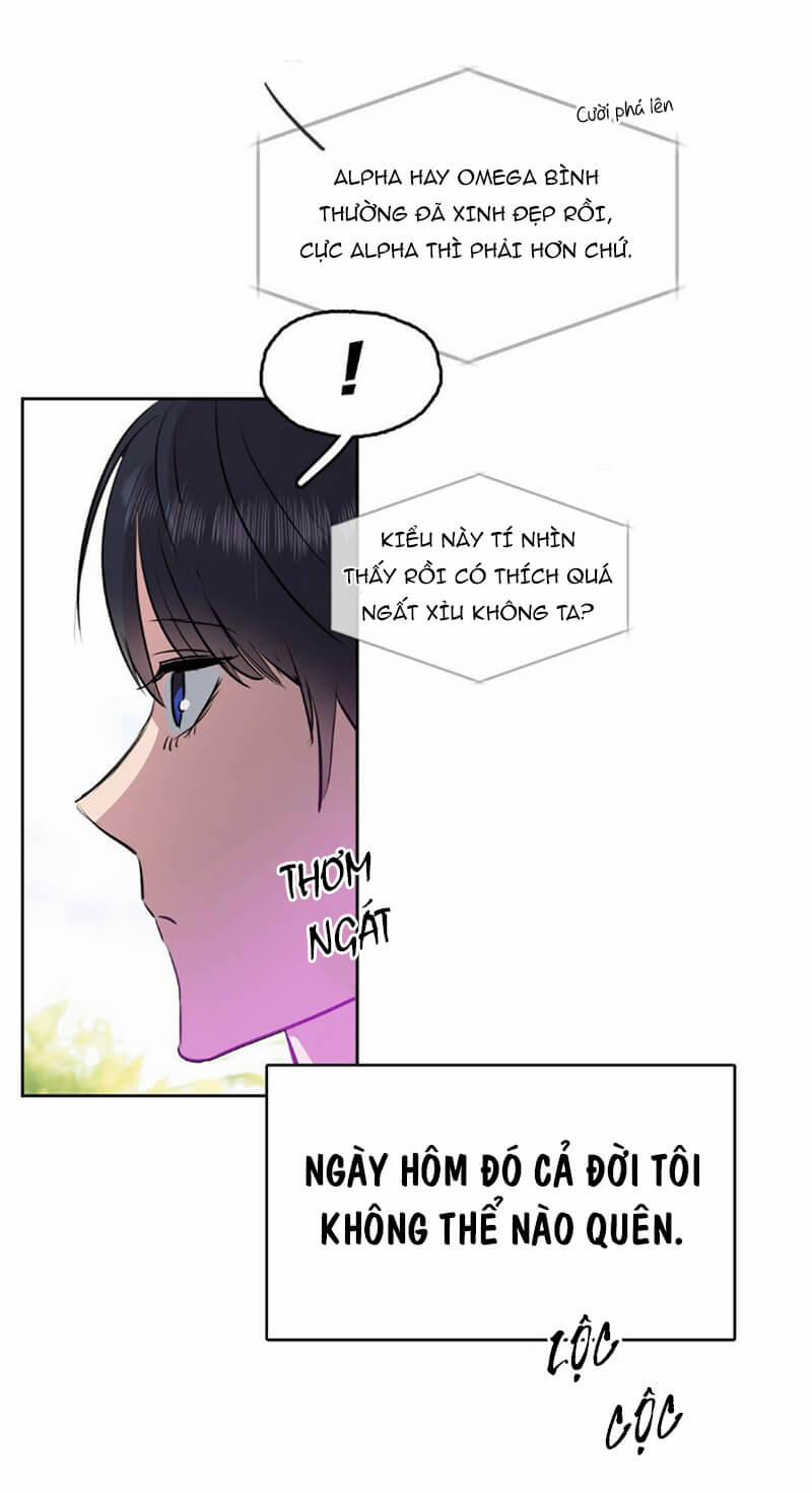 Hôn Tôi Đi, Đồ Dối Trá 2 trang 9