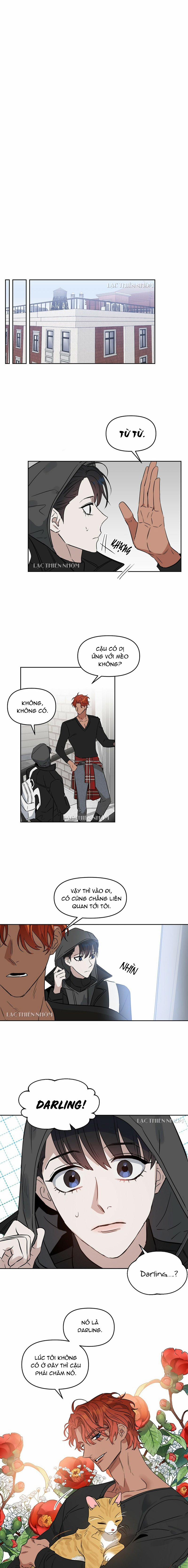 Hôn Tôi Đi, Đồ Dối Trá 36 trang 9