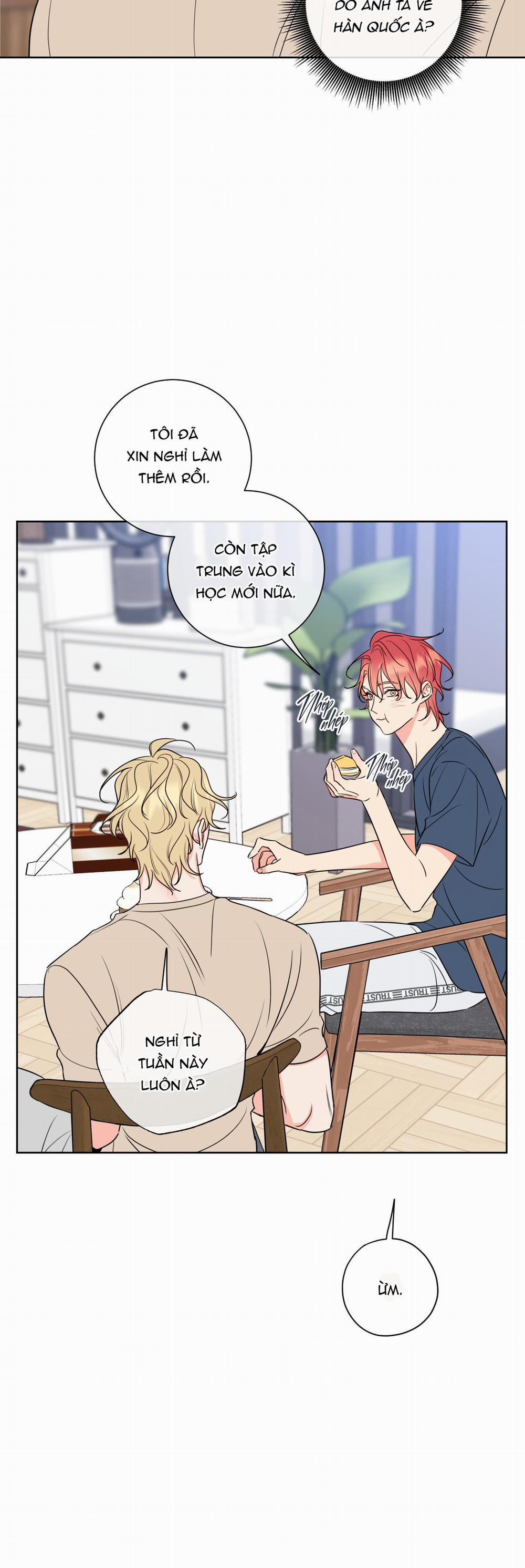 Honey Trouble 14 phamthu09111 trang 6