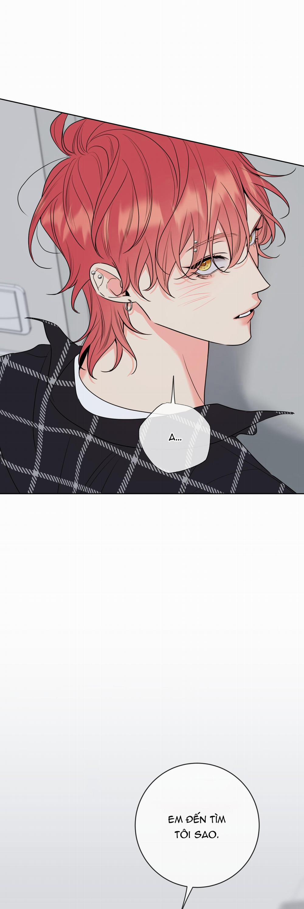 Honey Trouble 14 trang 67