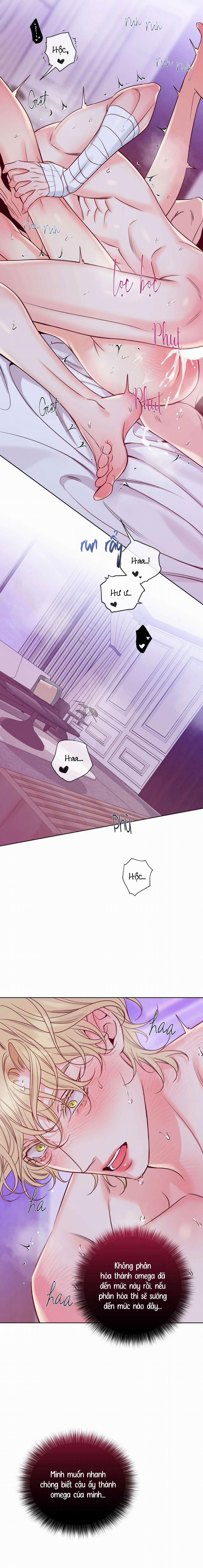 Honey Trouble 36 trang 11