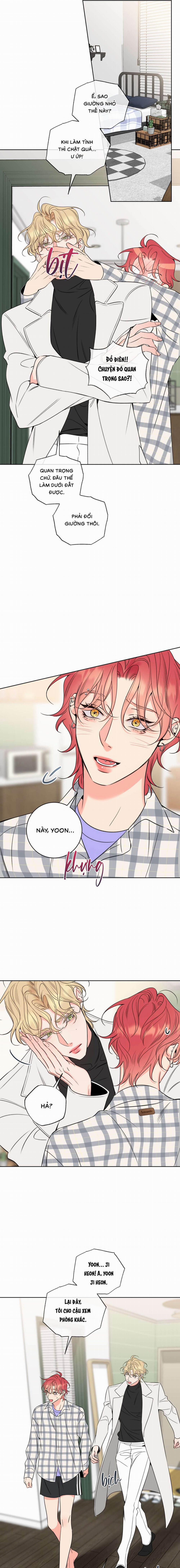 Honey Trouble 39 trang 10