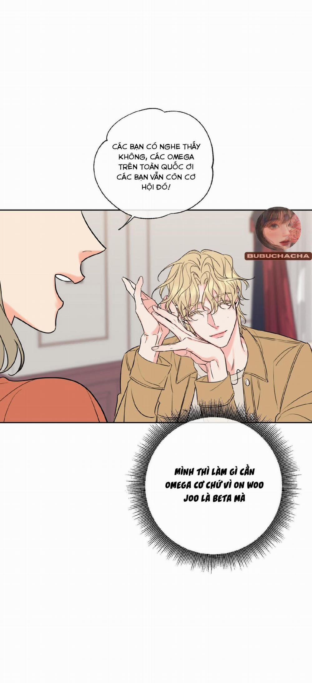 Honey Trouble 4 trang 14