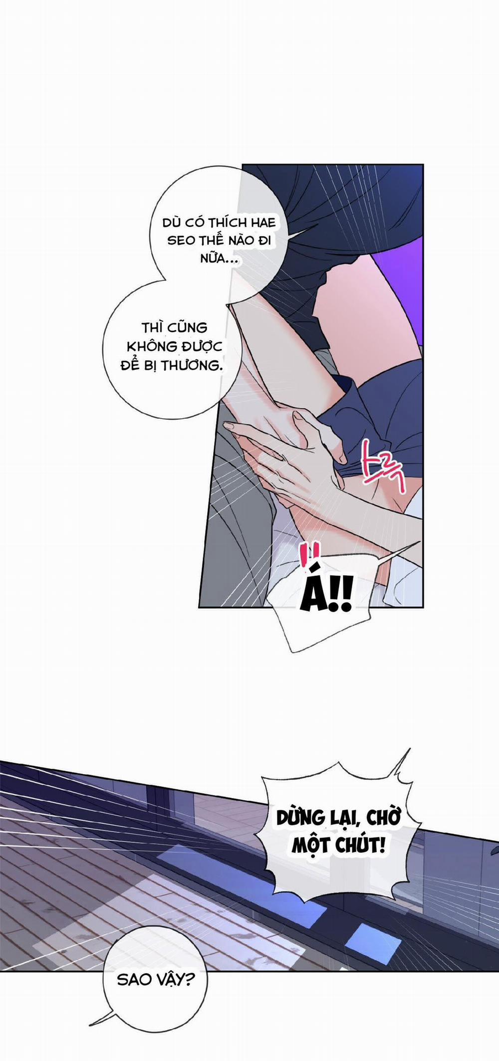 Honey Trouble 4 trang 31