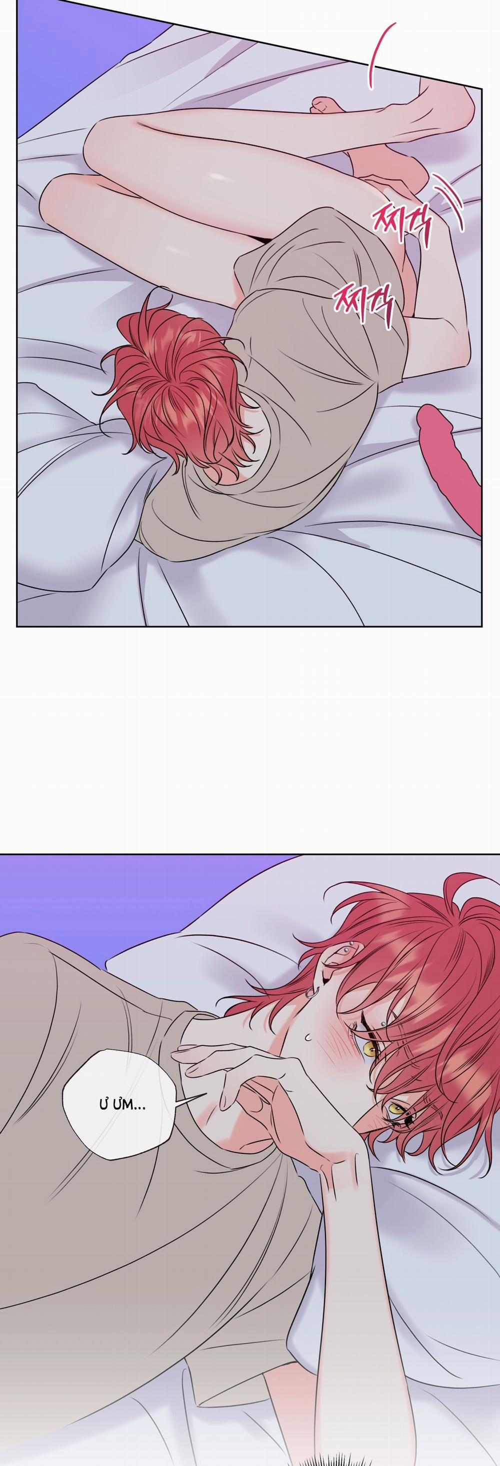 Honey Trouble 7.2 trang 5