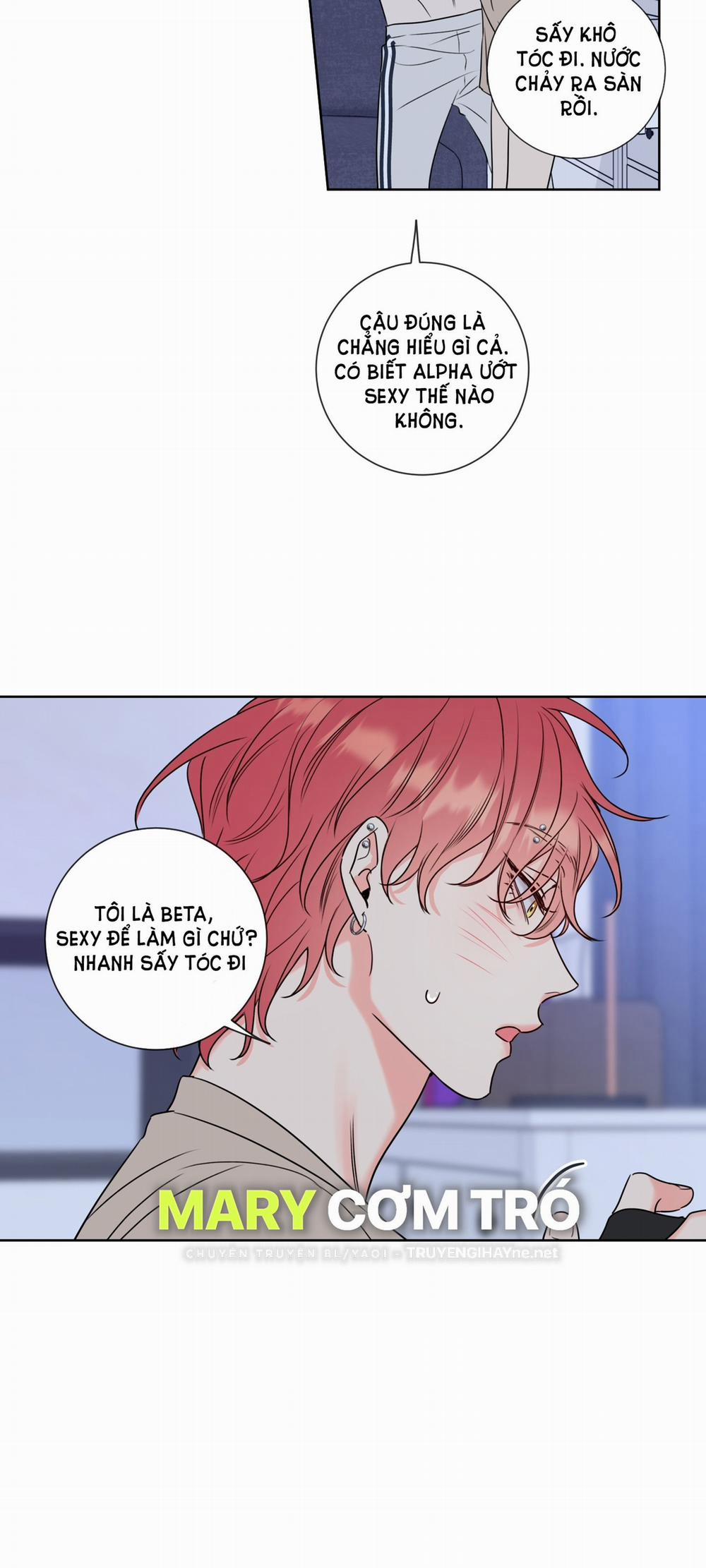 Honey Trouble 8.1 trang 24