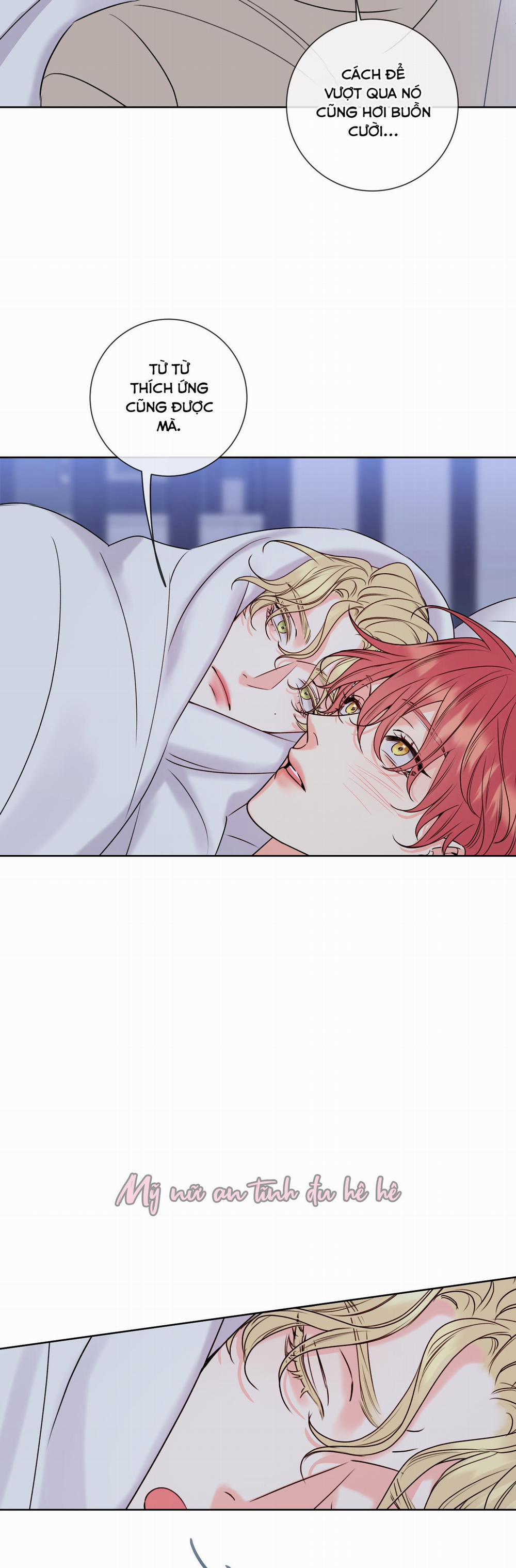 Honey Trouble 8 trang 27