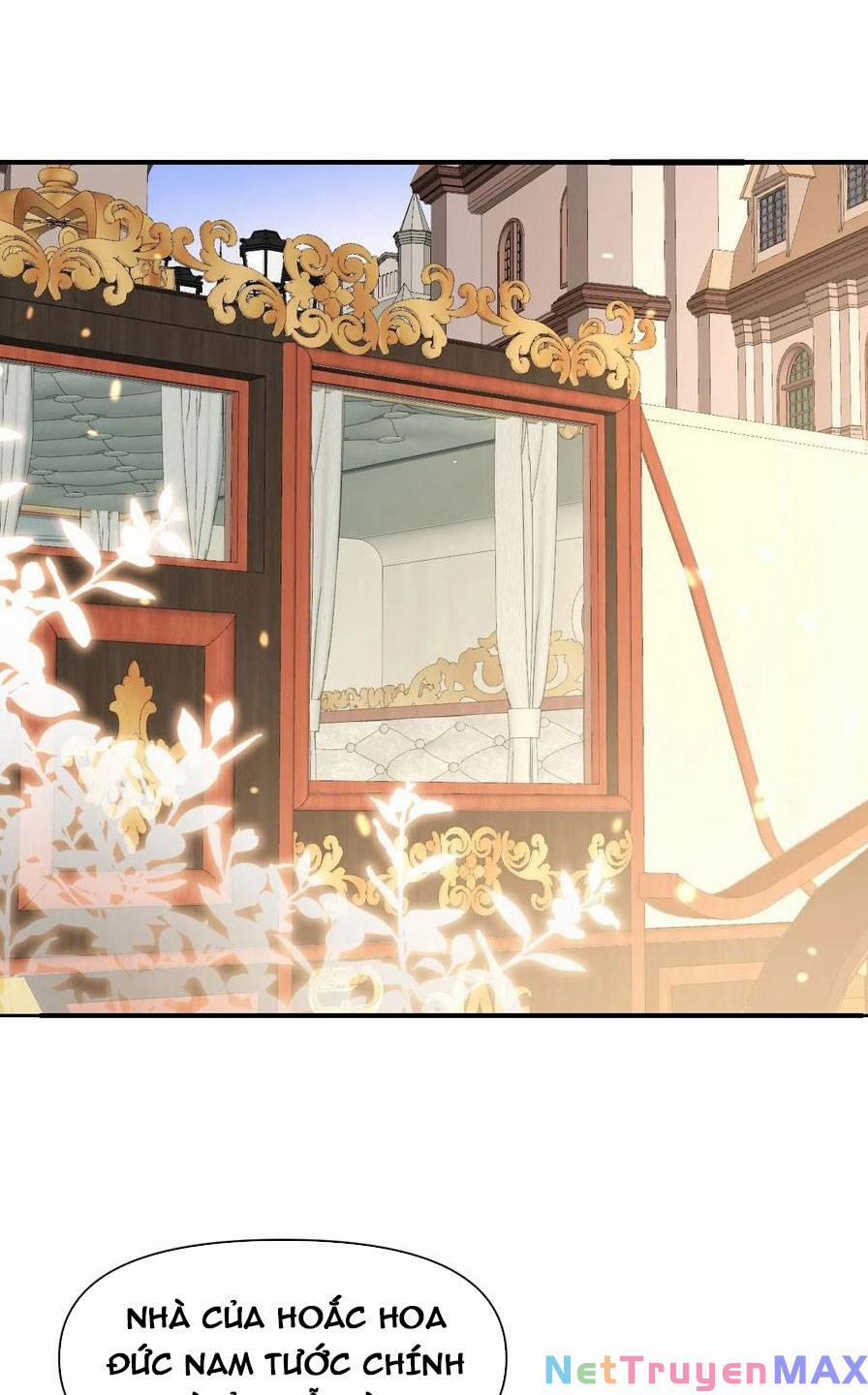 Hồng Long Dũng Giả Không Phải Người Lương Thiện 20 trang 61