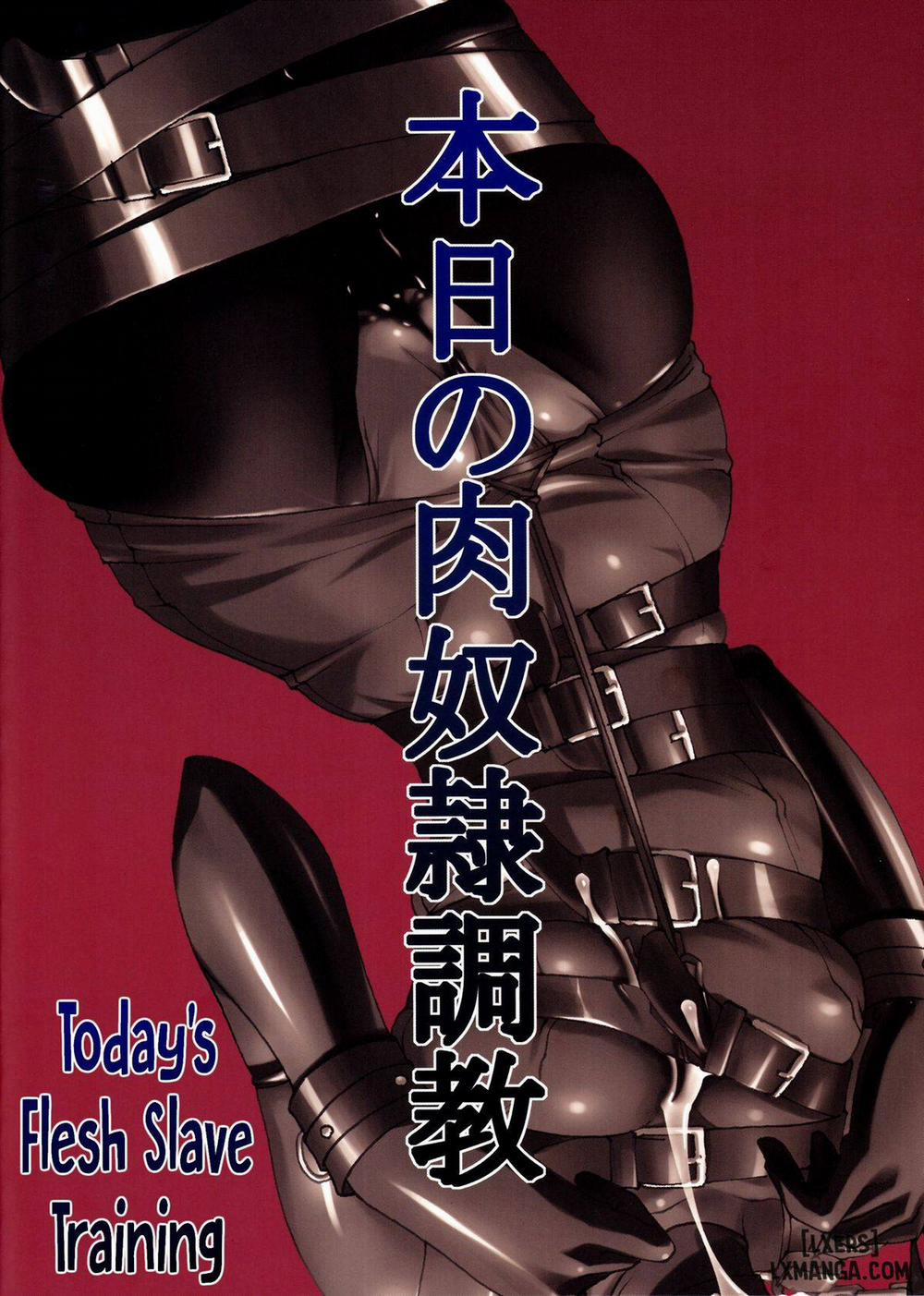 Honjitsu no Nikudorei Choukyou Oneshot trang 17