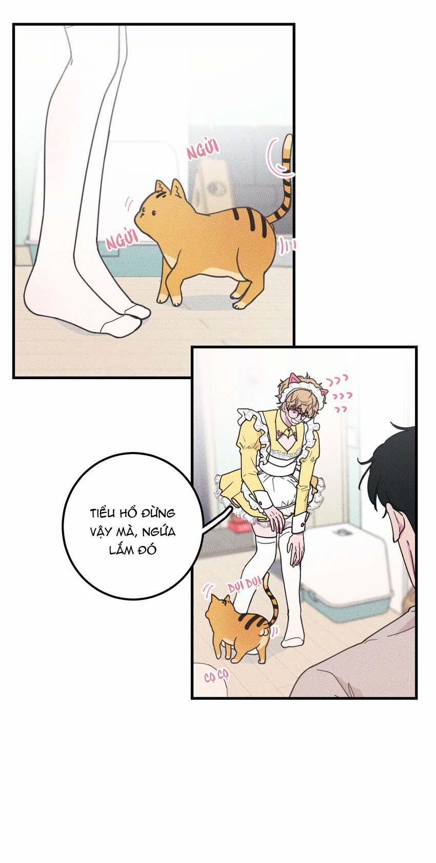 Hộp Bánh Quy Định Mệnh (END) 21 trang 7