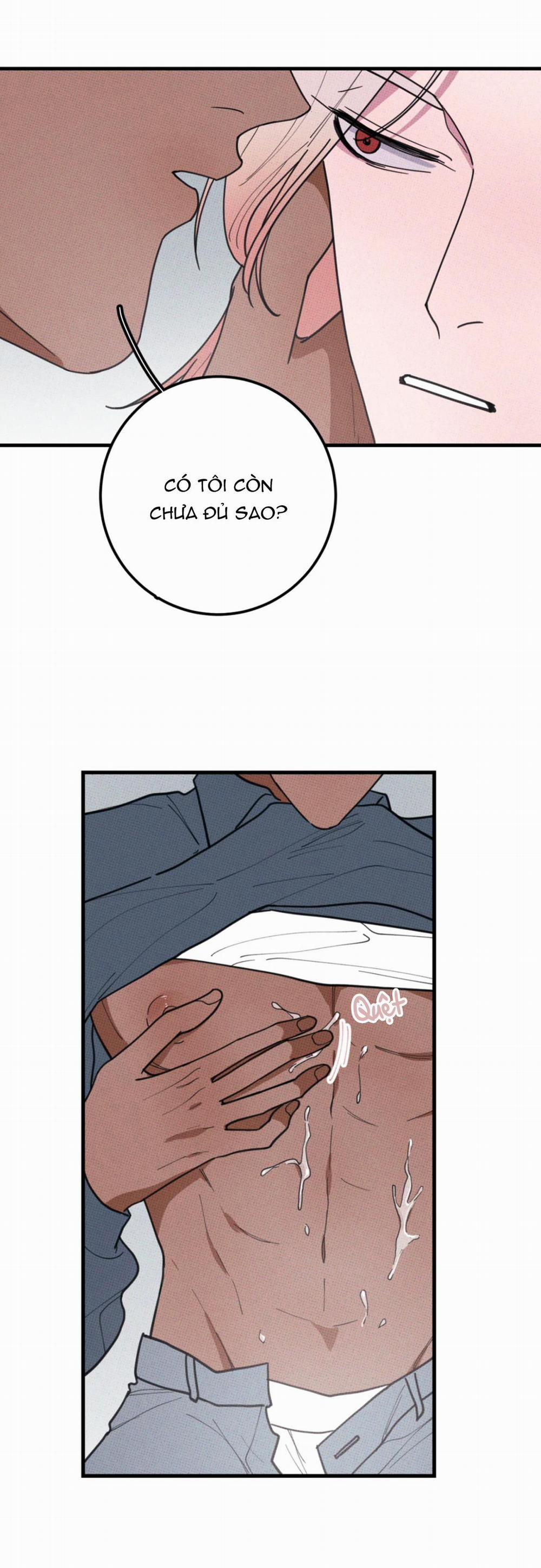 Hộp Bánh Quy Định Mệnh (END) 30.2 0 XE CHẤN 0 trang 11