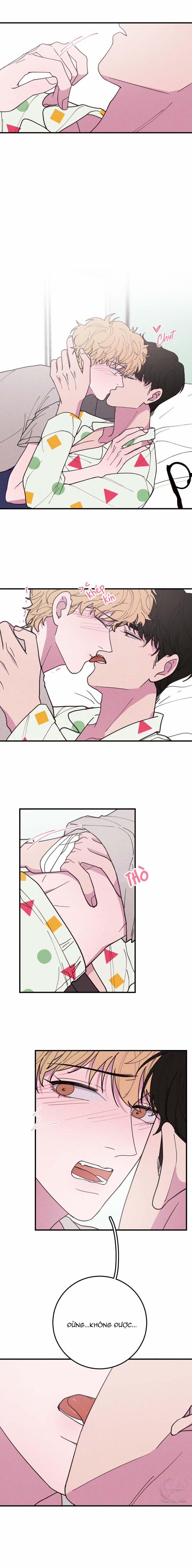 Hộp Bánh Quy Định Mệnh (END) 33 0 ĐÁ LƯỠI 0 trang 4