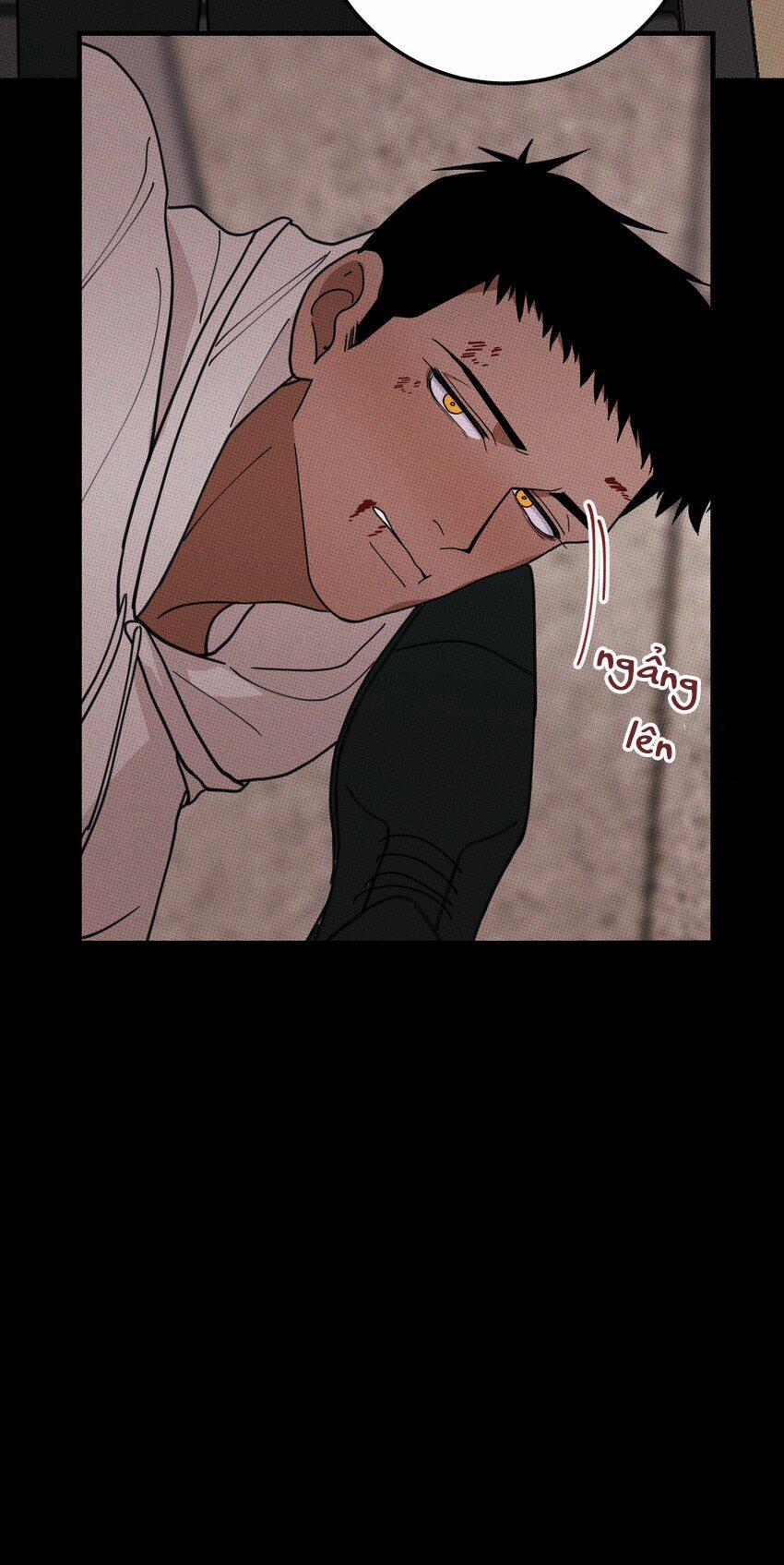 Hộp Bánh Quy Định Mệnh (END) 35 trang 20