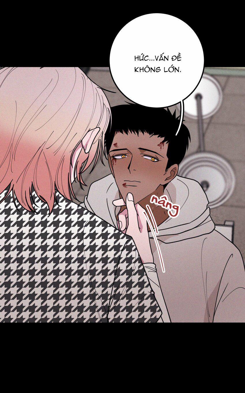 Hộp Bánh Quy Định Mệnh (END) 35 trang 42