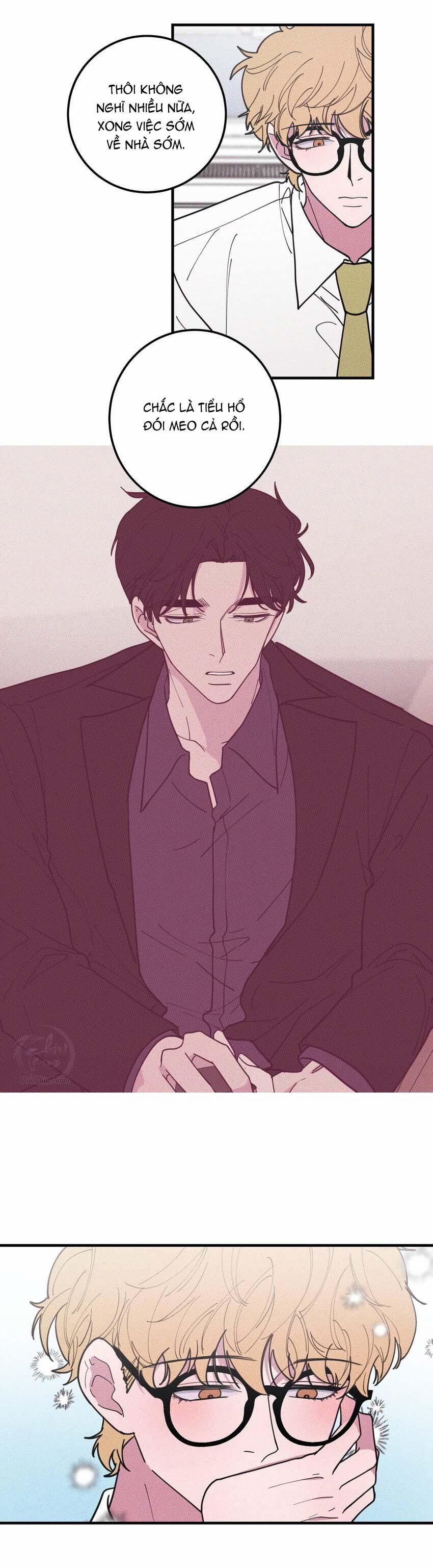 Hộp Bánh Quy Định Mệnh (END) 41 trang 1