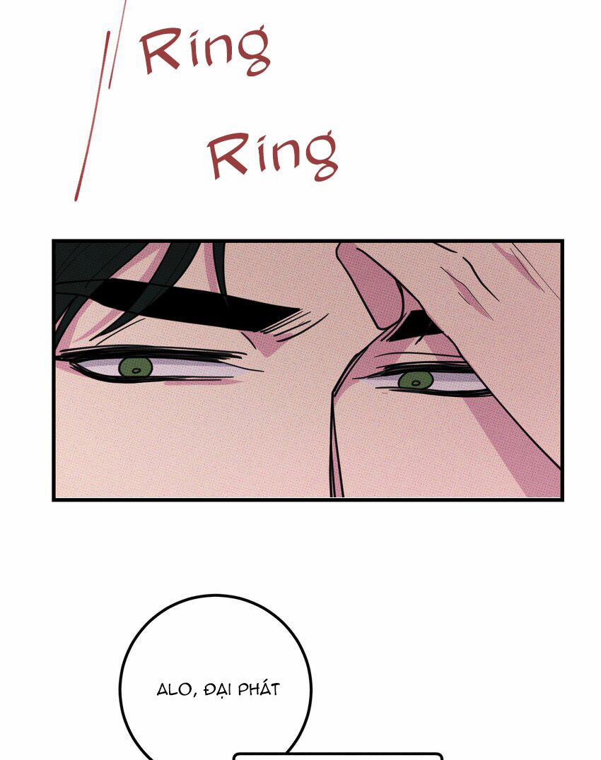 Hộp Bánh Quy Định Mệnh (END) 46 trang 3