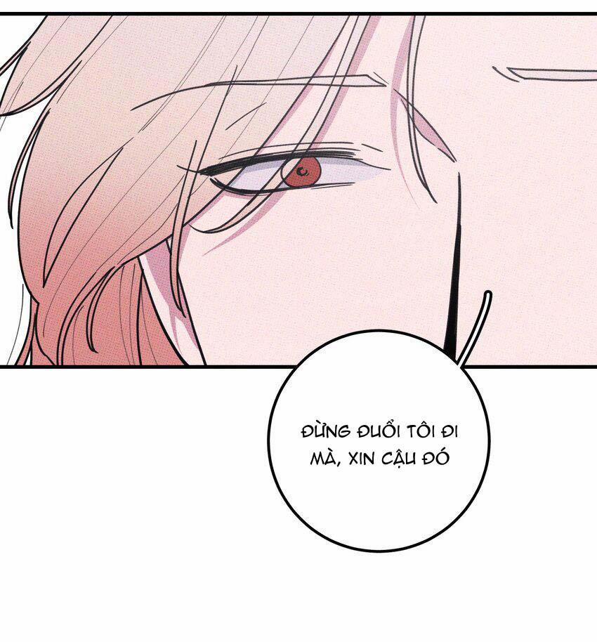 Hộp Bánh Quy Định Mệnh (END) 48 trang 15