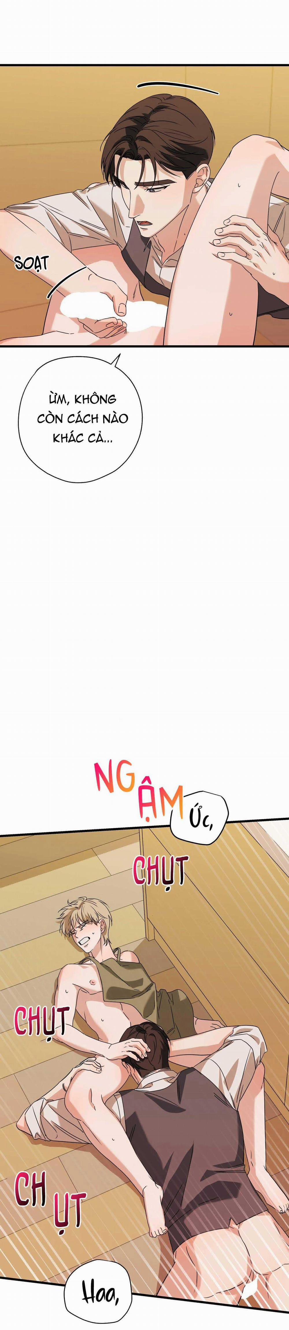 Hợp Đồng Kẹo Ngọt 16 trang 2