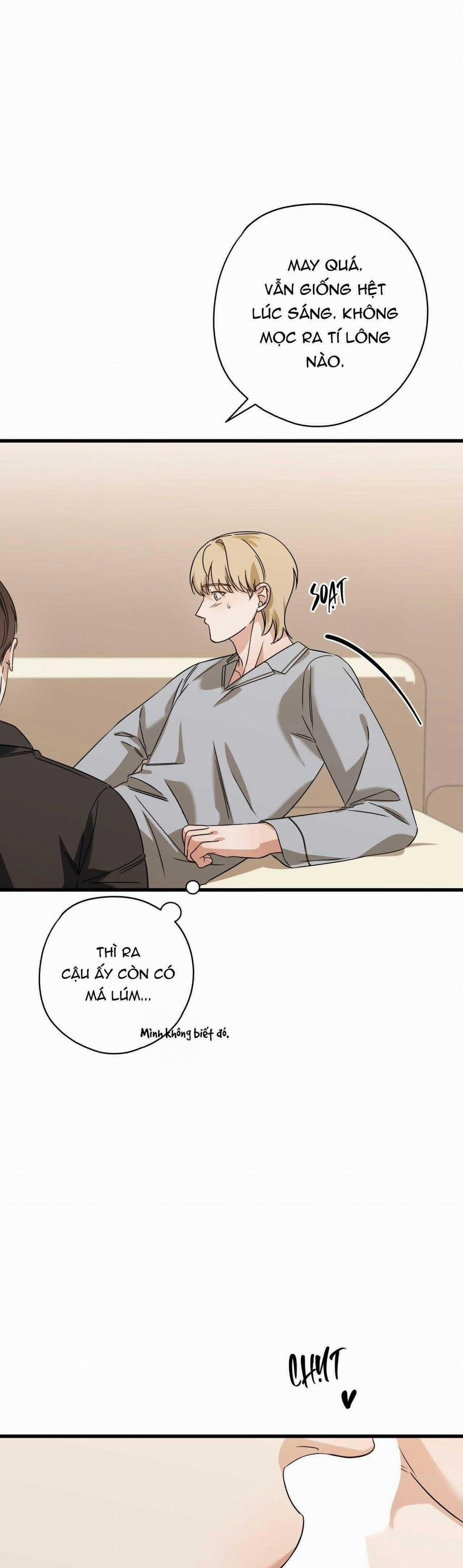 Hợp Đồng Kẹo Ngọt 21 trang 28