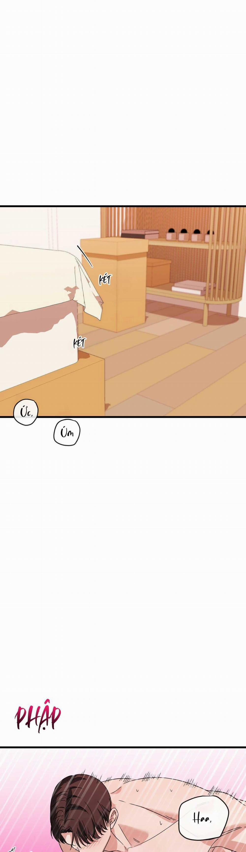 Hợp Đồng Kẹo Ngọt 21 trang 44