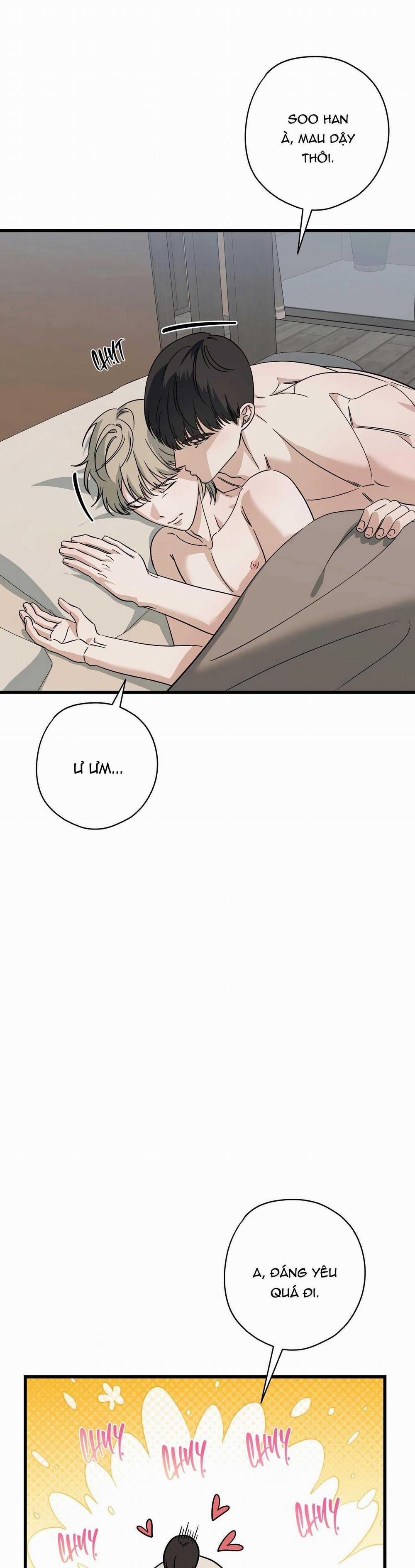 Hợp Đồng Kẹo Ngọt 29 trang 1