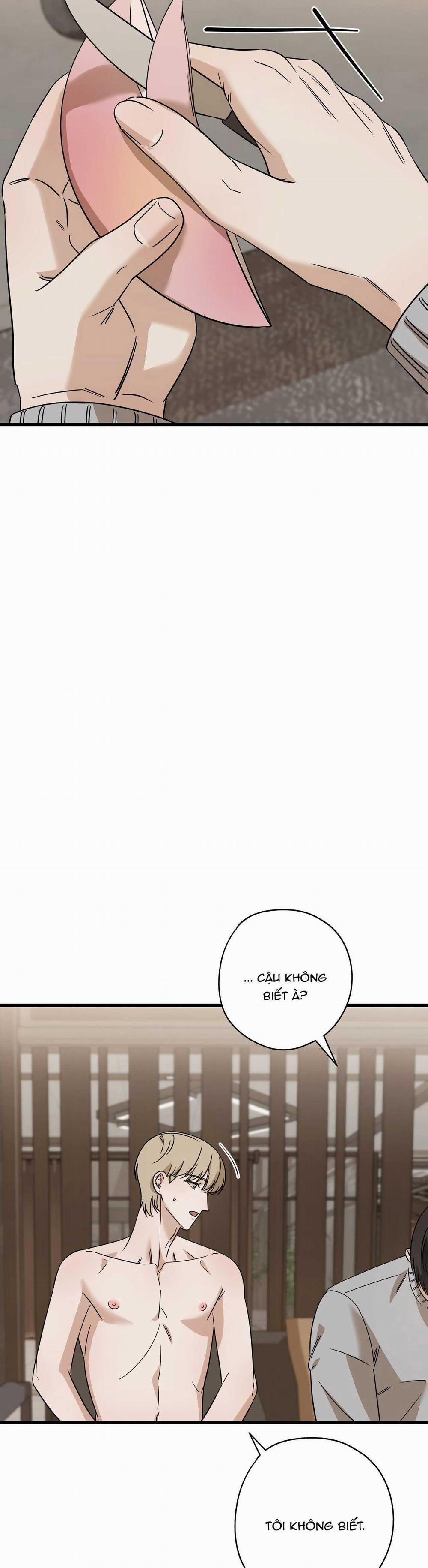 Hợp Đồng Kẹo Ngọt 29 trang 36