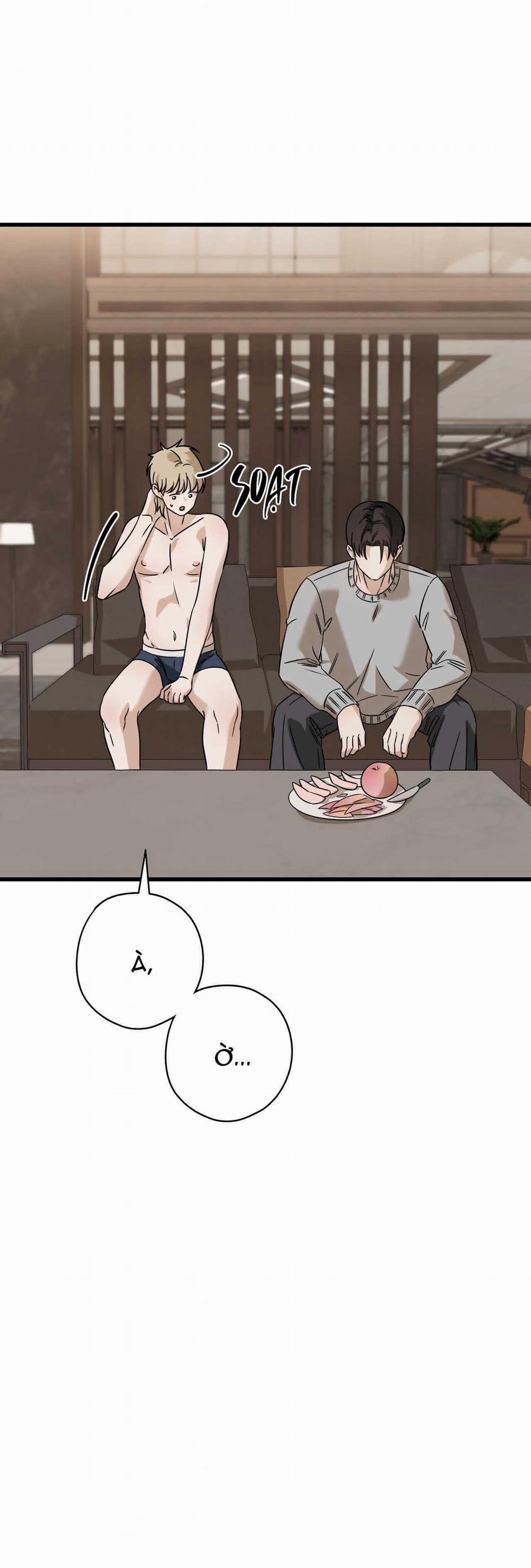 Hợp Đồng Kẹo Ngọt 29 trang 41