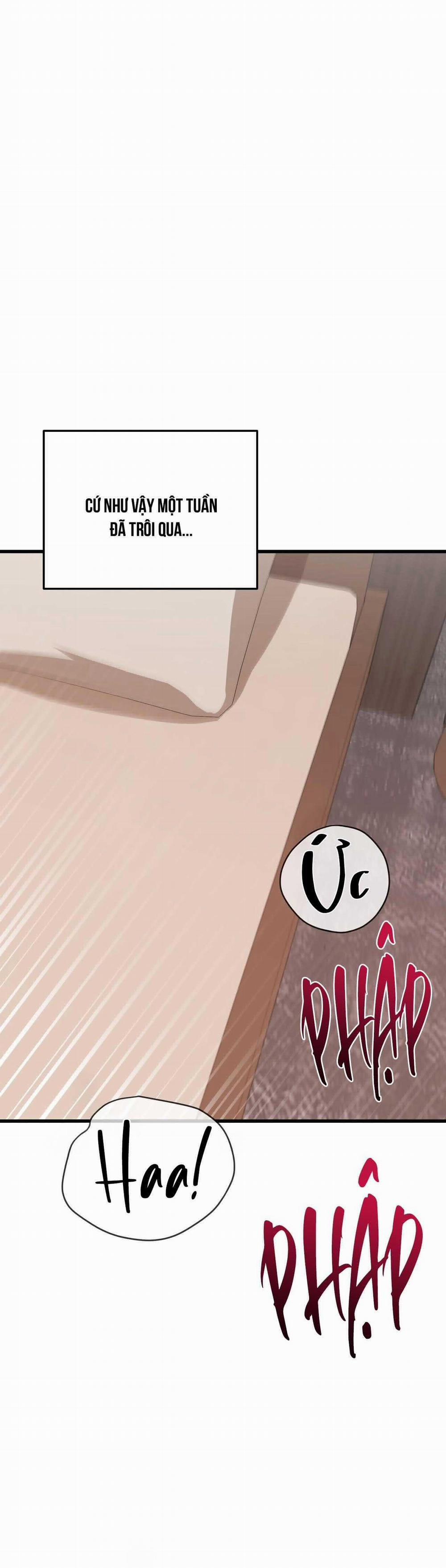 Hợp Đồng Kẹo Ngọt 29 trang 8