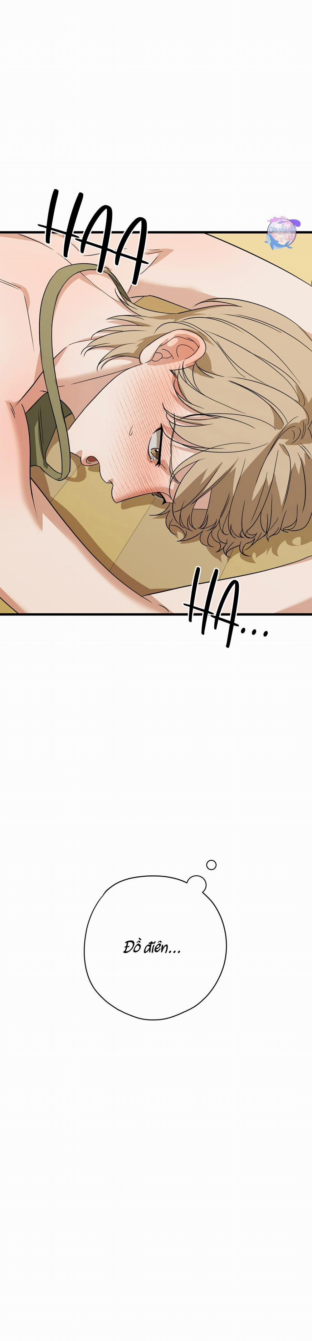 Hợp Đồng Kẹo 15 trang 20