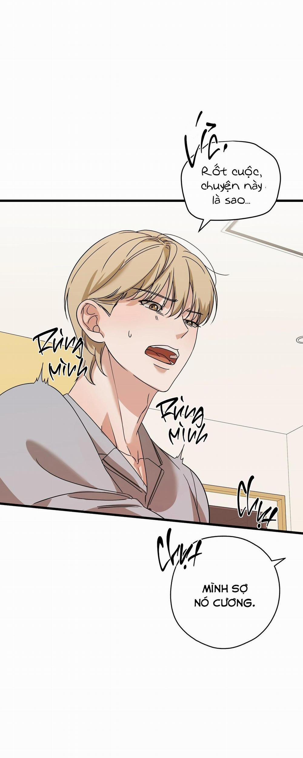 Hợp Đồng Kẹo 20 trang 101