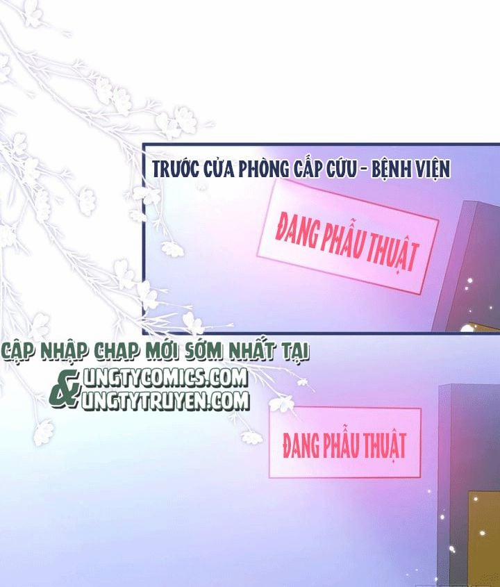 Hotsearch Của Ảnh Đế Chương 143 Trang 39