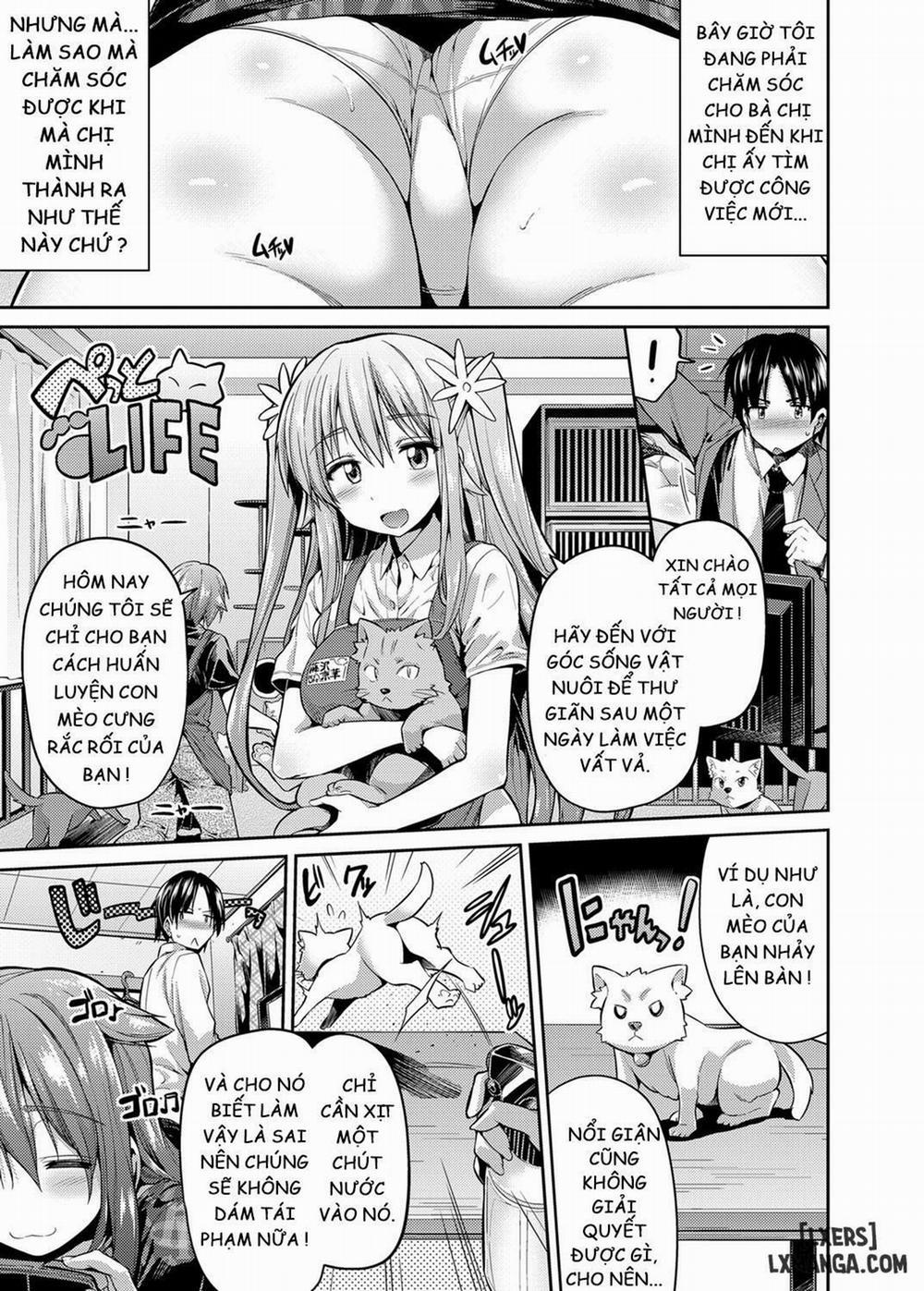 How To Train Your Pet Older Sister Chương Oneshot Trang 3