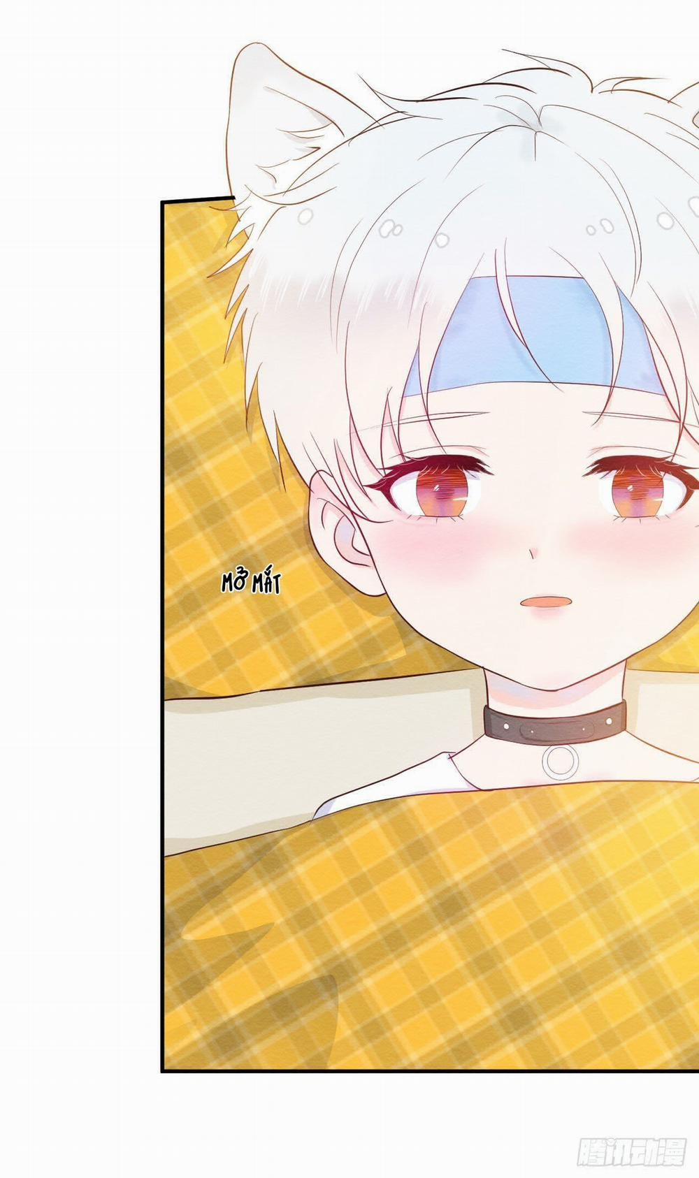 Hướng Dẫn Nuôi Sói 2 trang 23