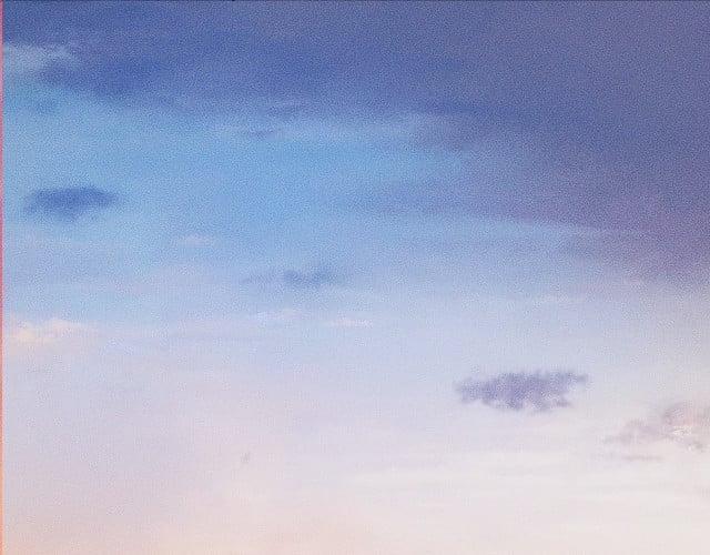 Husky Và Sư Tôn Mèo Trắng Của Hắn 4 trang 4