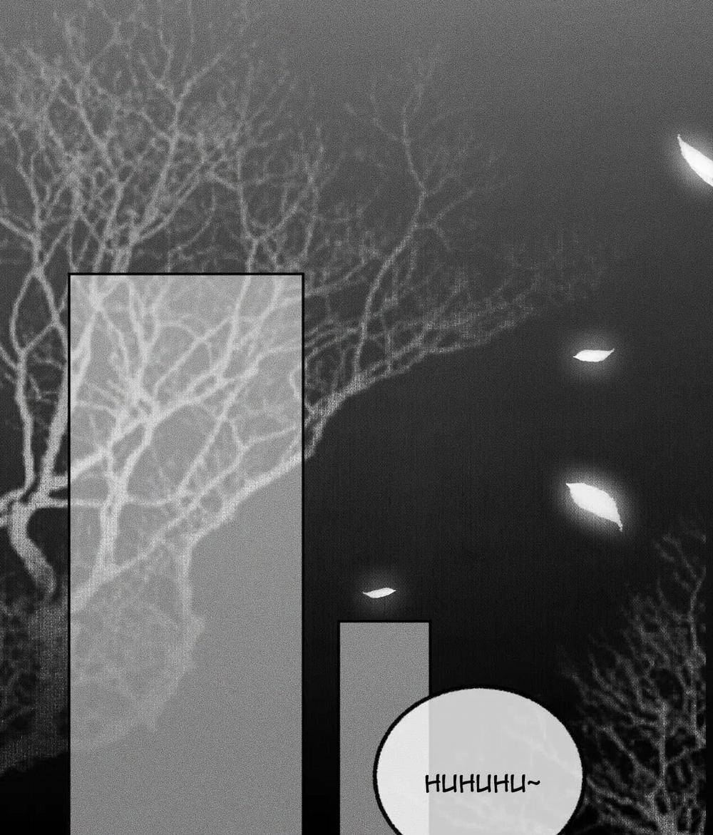 Husky Và Sư Tôn Mèo Trắng Của Hắn 5 trang 17