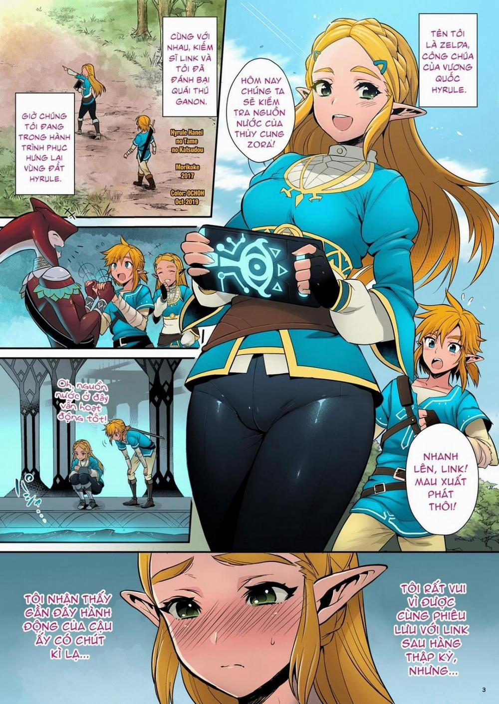 Hyrule Hanei no Tame no Katsudou Chương Oneshot Trang 3