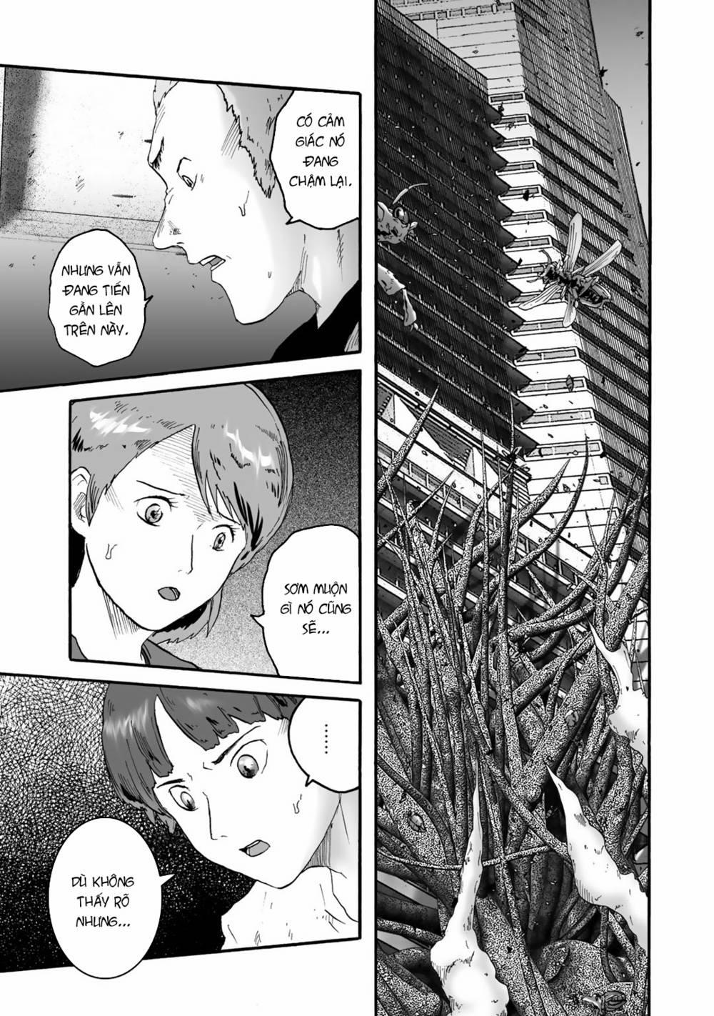 Insects R 3 trang 19