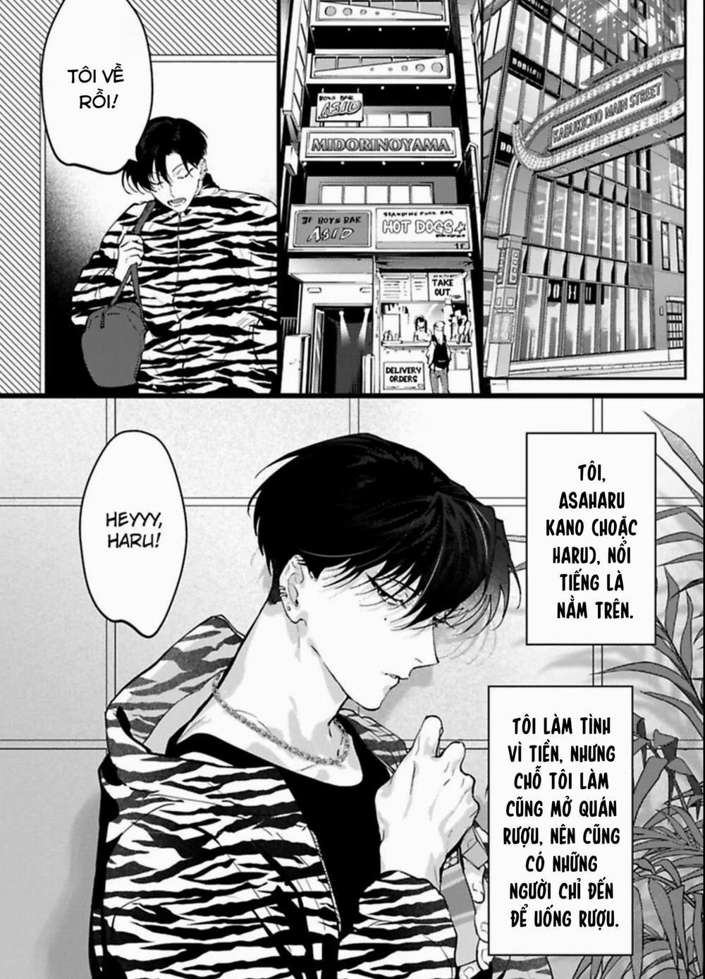 Kabukicho Cat Honey 1 trang 3