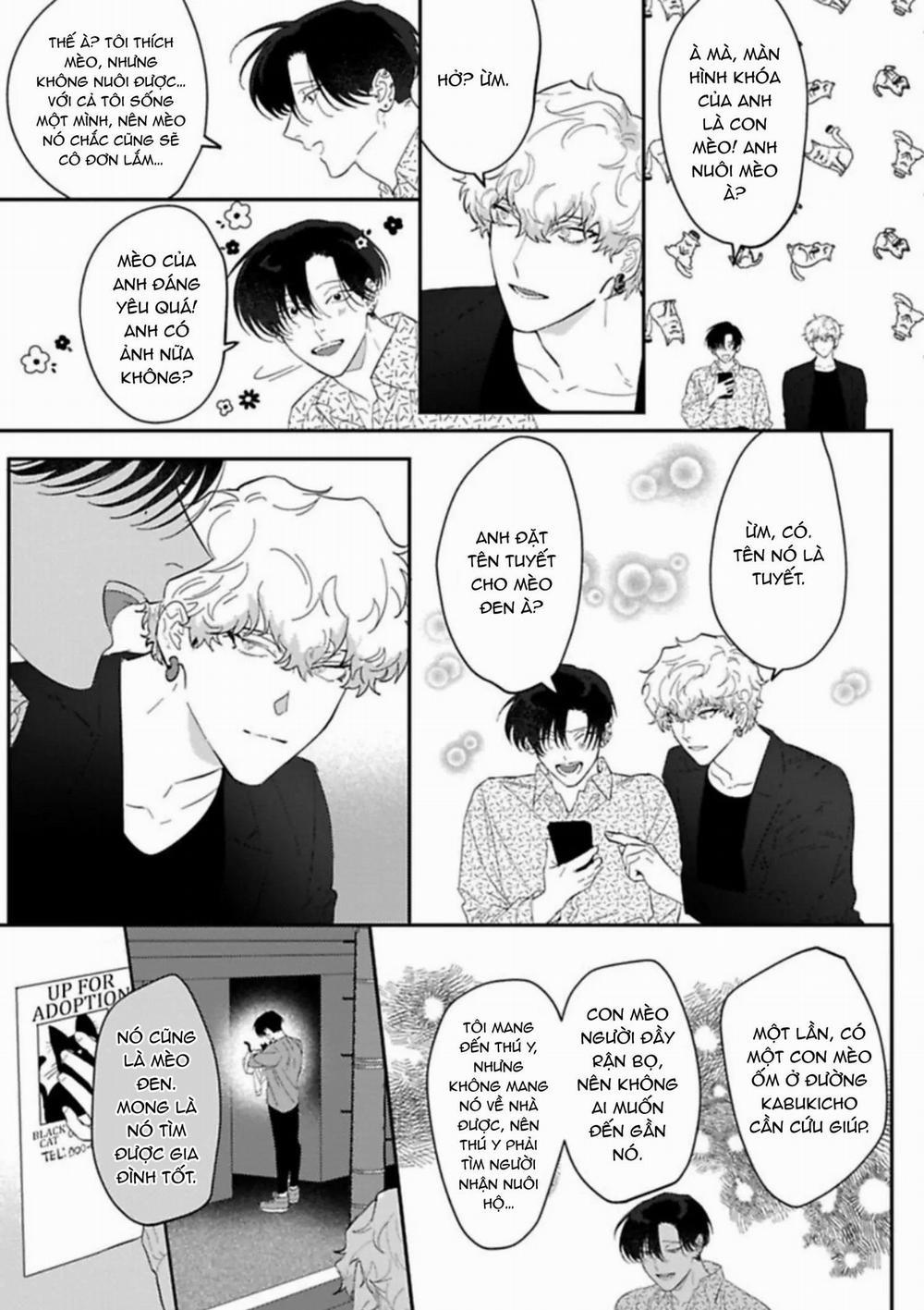 Kabukicho Cat Honey 2 trang 16