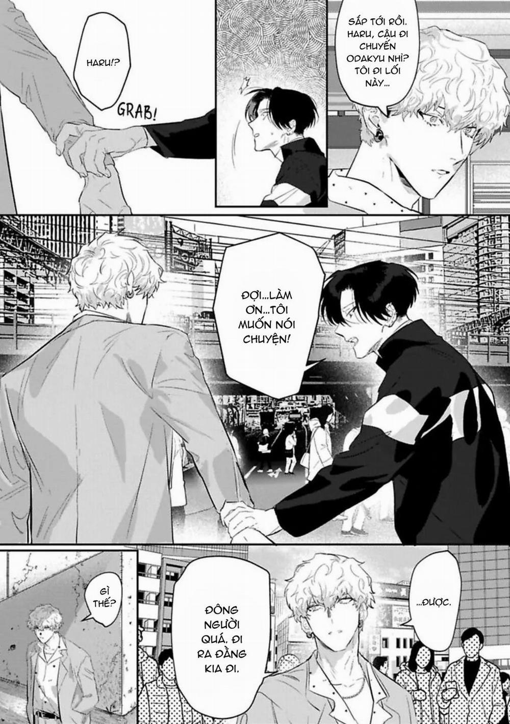 Kabukicho Cat Honey 5 trang 12