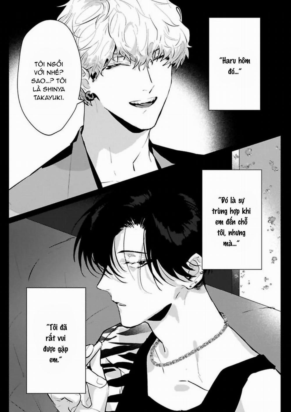 Kabukicho Cat Honey 5 trang 16