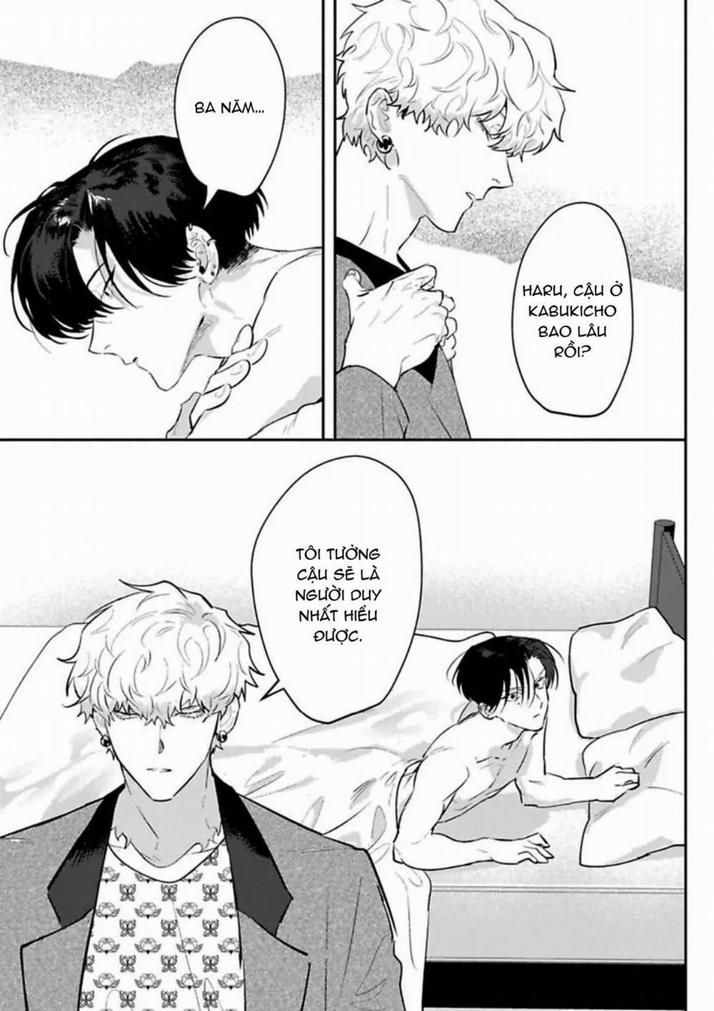 Kabukicho Cat Honey 5 trang 2