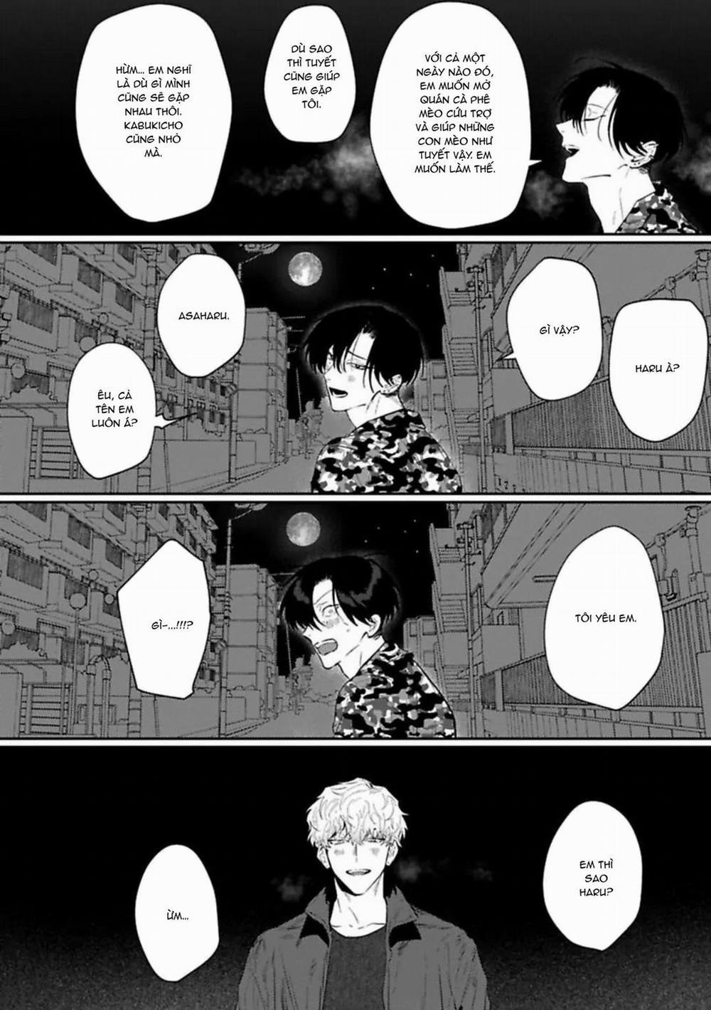 Kabukicho Cat Honey 6 trang 21
