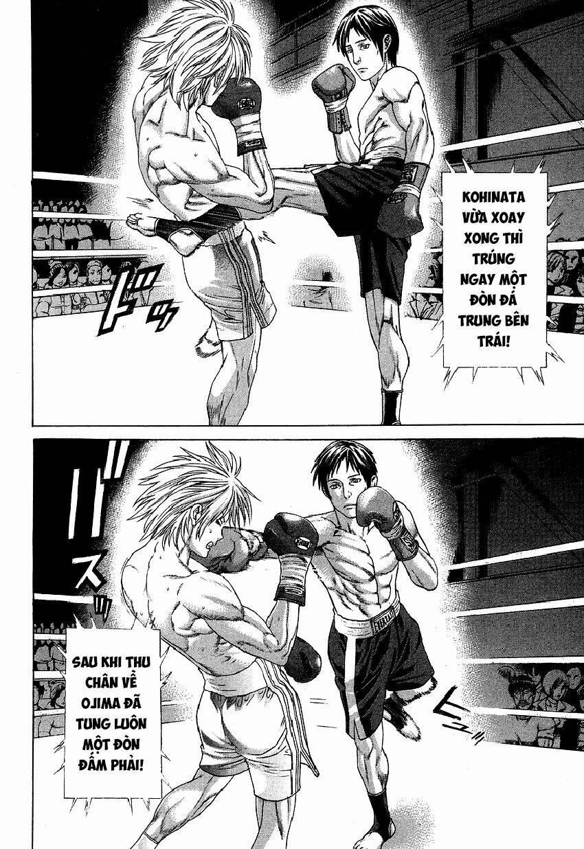 Karate Shoukoushi Kohinata Minoru 315 trang 5