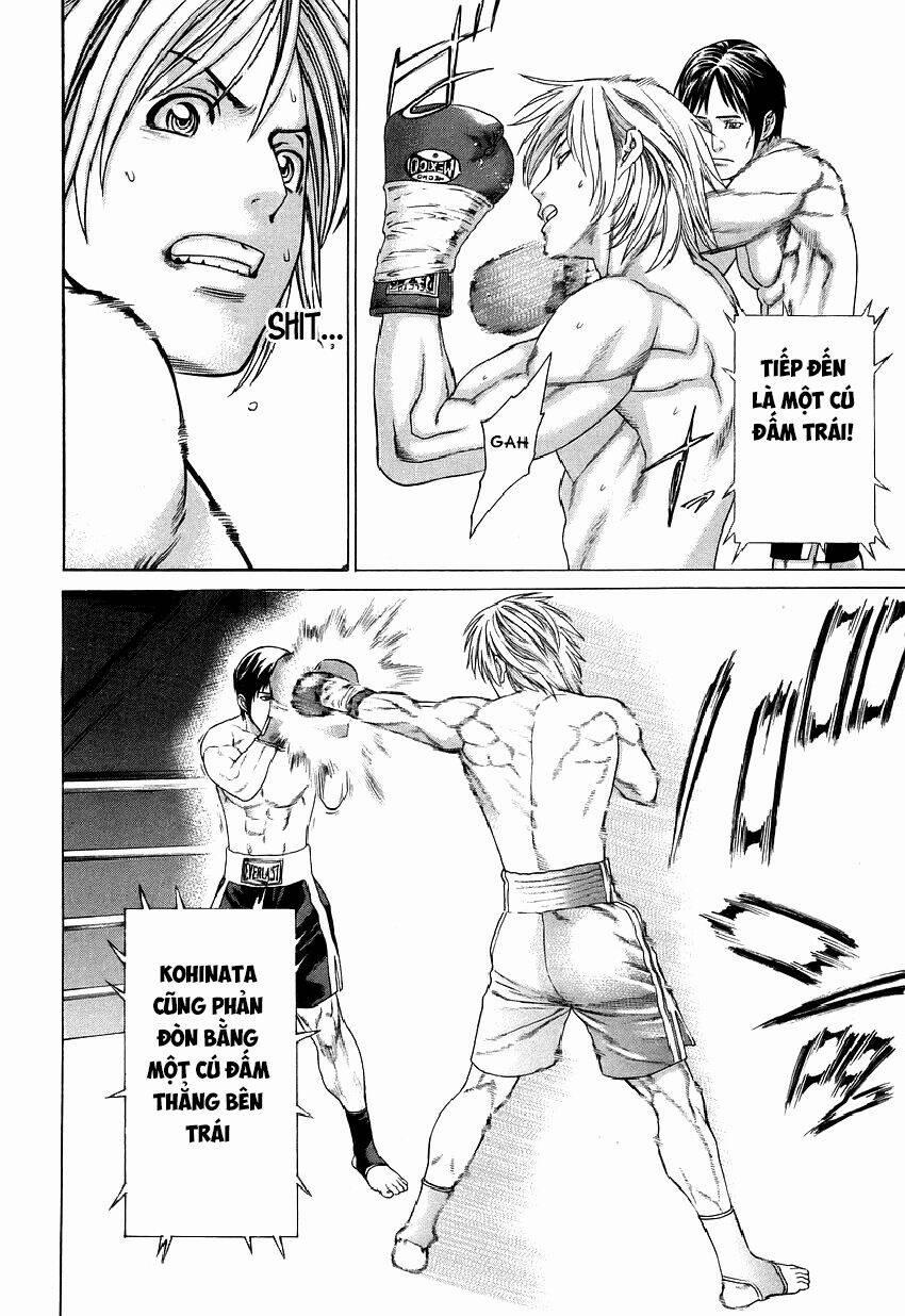 Karate Shoukoushi Kohinata Minoru 316 trang 8