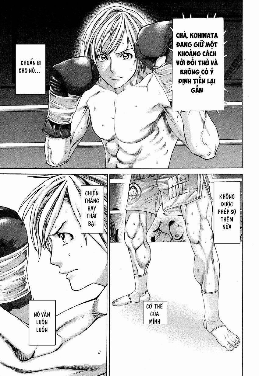 Karate Shoukoushi Kohinata Minoru 317 trang 11